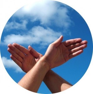 pajaritos en la cabeza